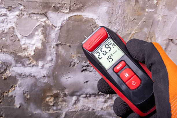 Best Local Mold Removal Service  in Zillah, WA