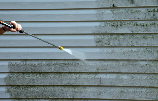 Best Water Damage Restoration  in Zillah, WA