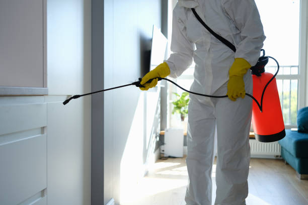 Best Office Mold Removal Services  in Zillah, WA