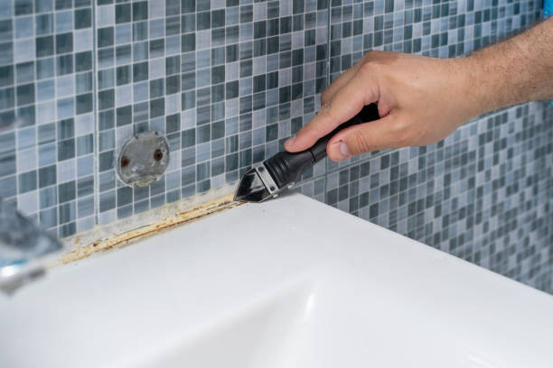 Best Certified Mold Removal  in Zillah, WA