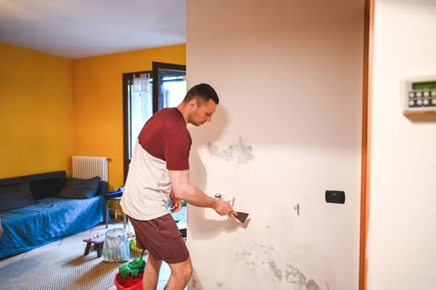 Best Best Mold Removal Companies  in Zillah, WA